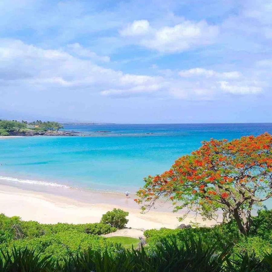 Family Friendly Kailua Bay View Ac Free Parking Walk To Kailua Village Dış mekan fotoğraf